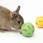 1pcs Rabbit Treat Ball Pet Slow Feeder